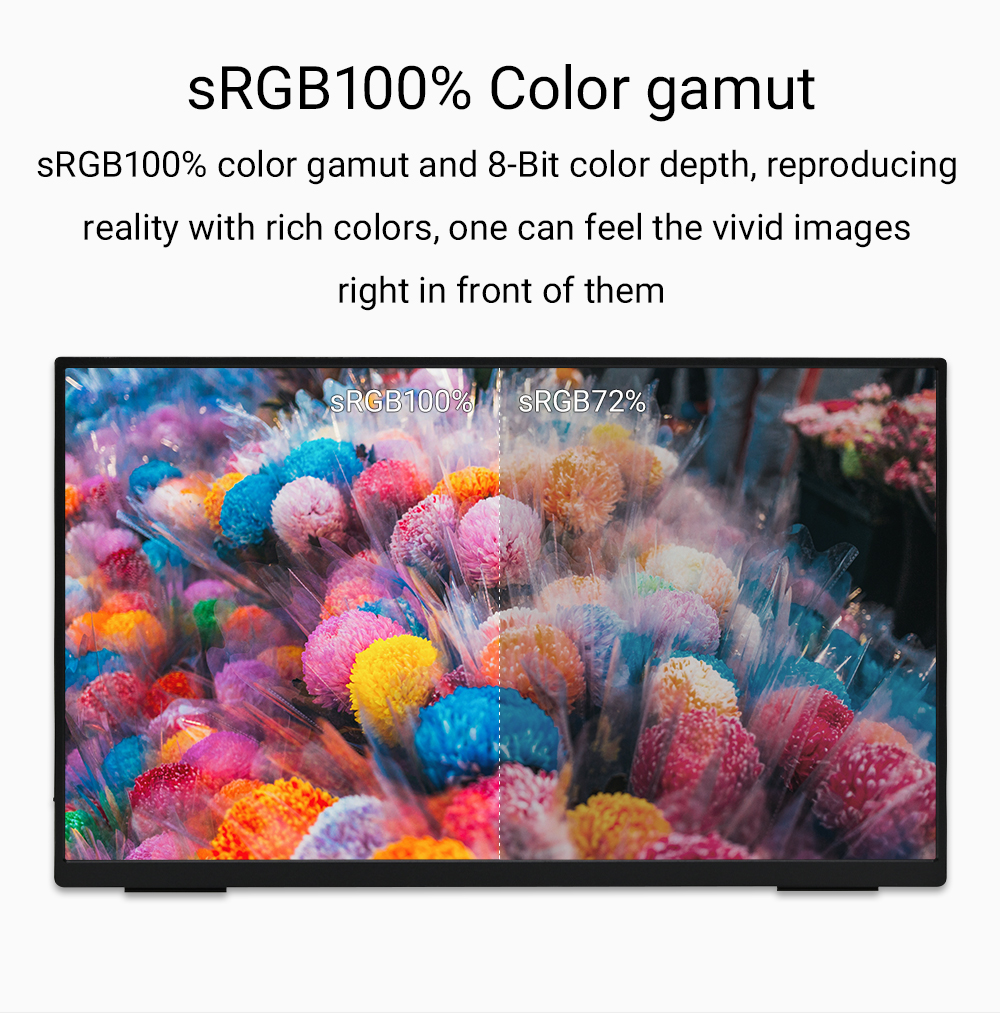 ZSUS 18-Inch 1080P 100Hz 100%s - Retro Gaming Monitor avaliação e preço