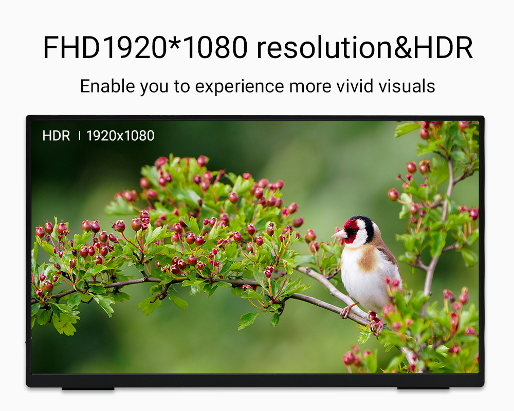 ZSUS 18-Inch 1080P 100Hz 100%s - Retro Gaming Monitor avaliação e preço